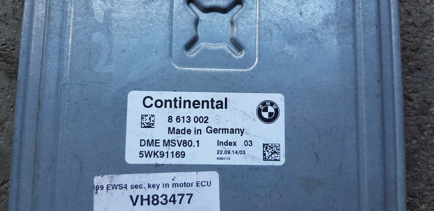 BMW Motorsteuergerät Steuergerät 8613002 5WK91169