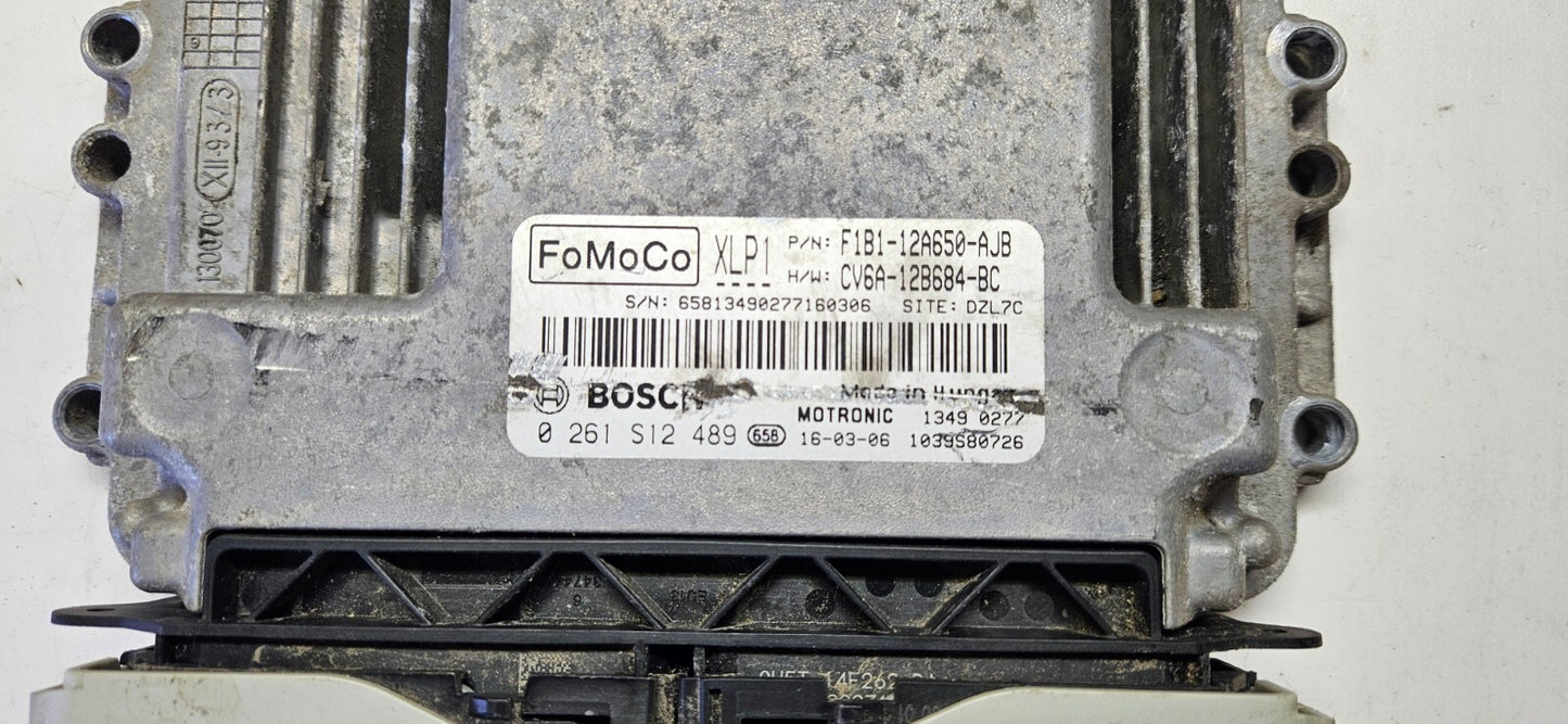 Ford Motorsteuergerät Steuergerät F1B1-12A650-AJB 0261S12489