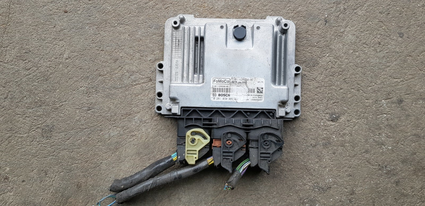 Ford Motorsteuergerät Steuergerät C1B1-12A650-AE 0281030002