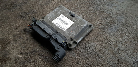 Fiat Motorsteuergerät Steuergerät IAW 4AF.M8 55183581