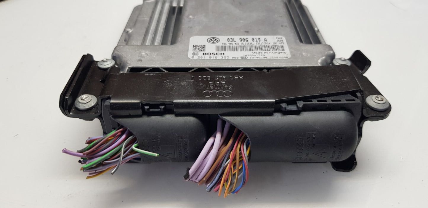 Seat Motorsteuergerät Steuergerät 03L906019A 0281016365